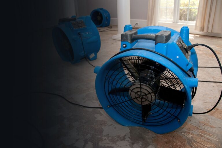 Water, Fire & Mold Damage Restoration Services in Greenville (2)
