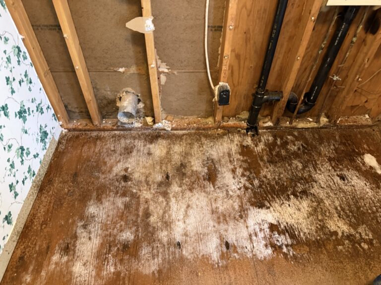 Water damage inside exposed wall cavity