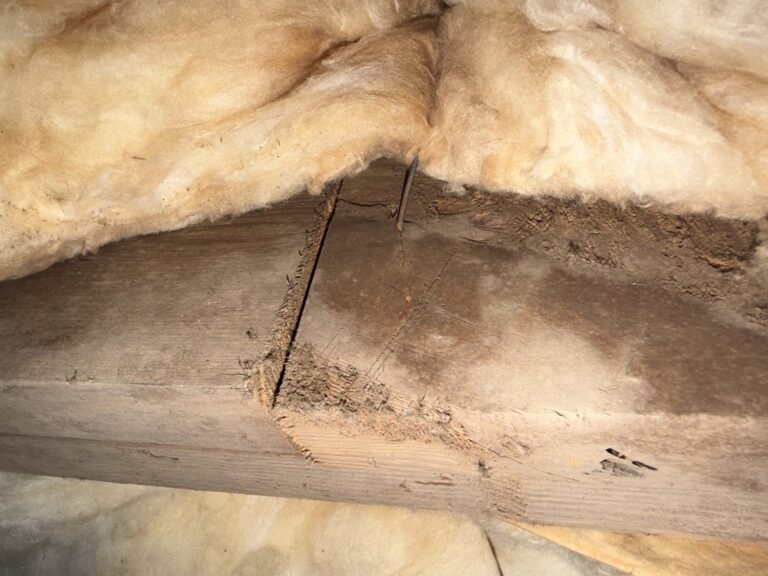 Crawlspace floor joist and damp insulation