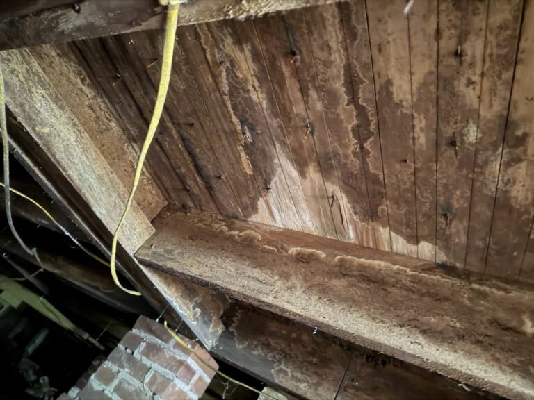 Stained wood subfloor from crawlspace moisture
