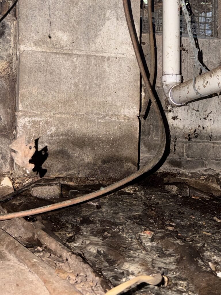 Damp block foundation wall and plumbing in a crawlspace