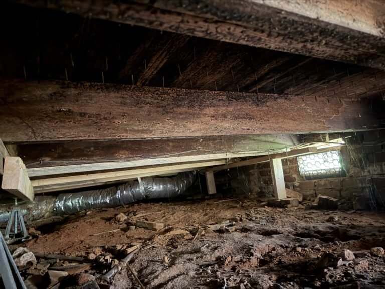 Dirt floor crawlspace with exposed ductwork before encapsulation