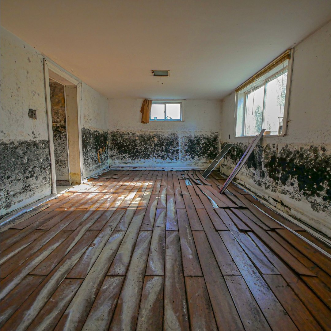 GreenShield Restoration project photo 7