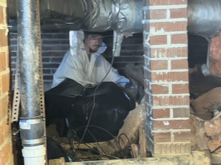 GreenShield technician entering a crawlspace access opening