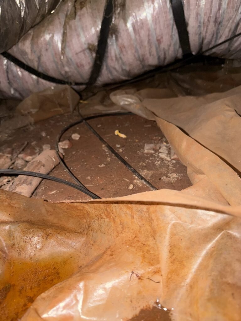 Torn and failing vapor barrier in a crawlspace