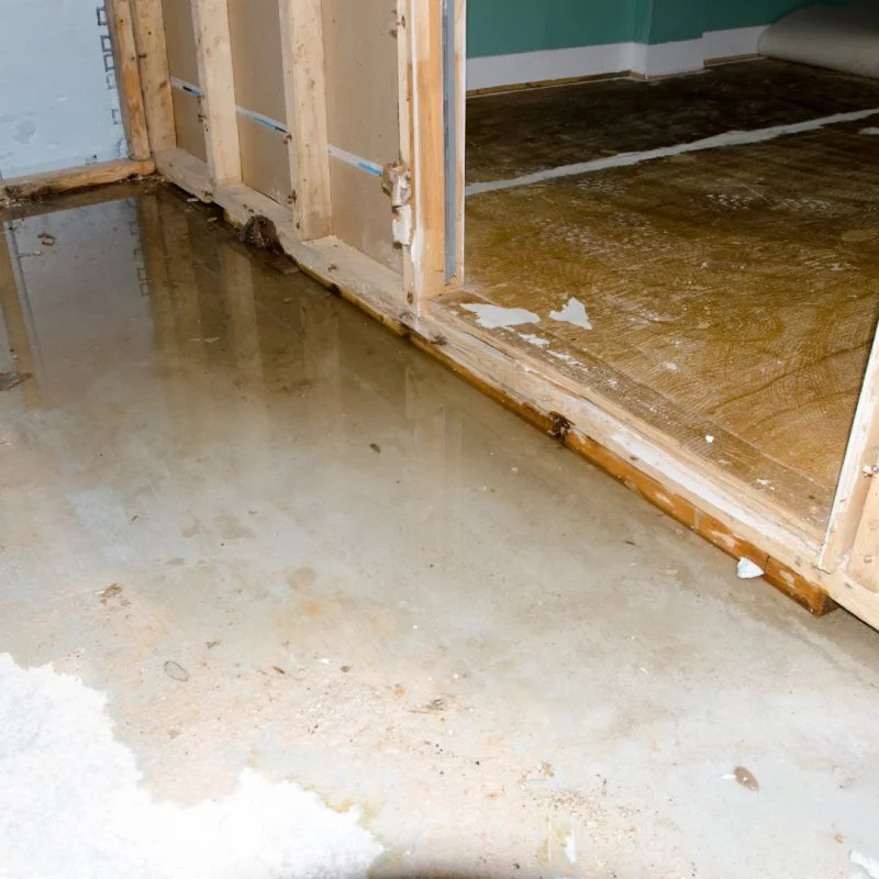 10-early-signs-of-water-damage-every-homeowner-should-know