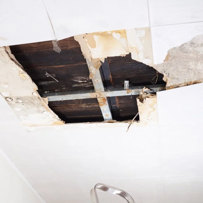 what-to-do-immediately-after-water-damage-strikes-a-step-by-step-guide